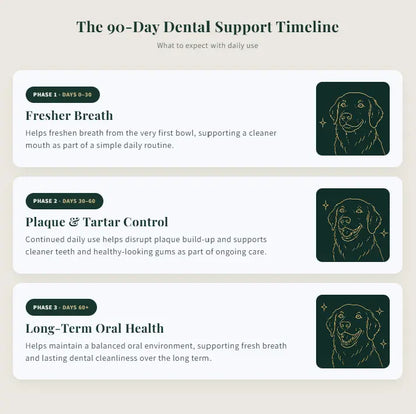 Paw & Parker Dog Dental Water Additive
