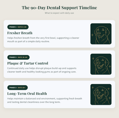 Paw & Parker Dog Dental Water Additive
